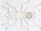 Preview: ANTCUBE - PF 20 M - ant - white